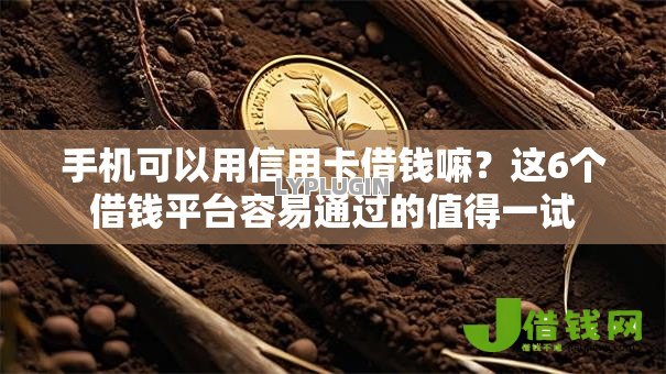手机可以用信用卡借钱嘛?这6个借钱平台容易通过的值得一试 手机可以用信用卡借钱嘛?这6个借钱平台容易通过的值得一试