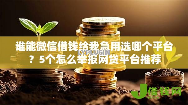 谁能微信借钱给我急用选哪个平台?5个怎么举报网贷平台推荐 谁能微信借钱给我急用选哪个平台?5个怎么举报网贷平台推荐