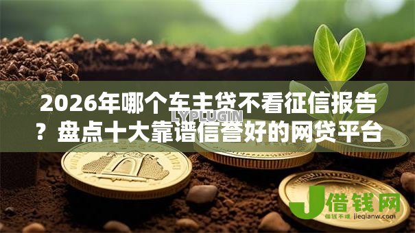 2026年哪个车主贷不看征信报告？盘点十大靠谱信誉好的网贷平台