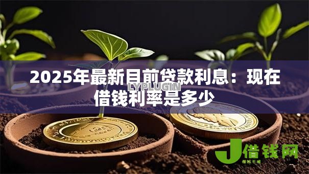 2025年最新目前贷款利息：现在借钱利率是多少