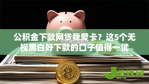 公积金下款网贷我爱卡？这5个无视黑白好下款的口子值得一试