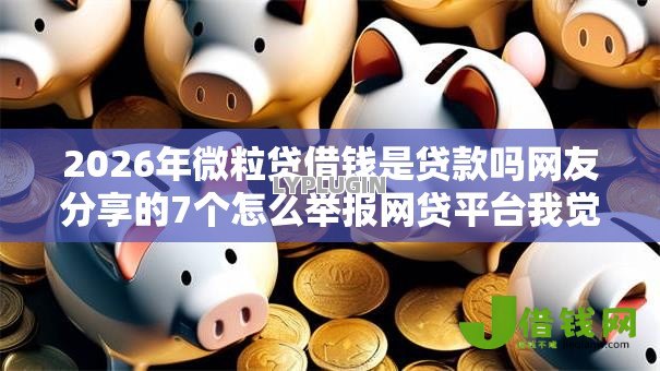 2026年微粒贷借钱是贷款吗网友分享的7个怎么举报网贷平台我觉得不错! 2026年微粒贷借钱是贷款吗网友分享的7个怎么举报网贷平台我觉得不错!
