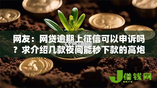 网友:网贷逾期上征信可以申诉吗?求介绍几款夜间能秒下款的高炮口子 网友:网贷逾期上征信可以申诉吗?求介绍几款夜间能秒下款的高炮口子