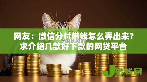 网友：微信分付借钱怎么弄出来？求介绍几款好下款的网贷平台