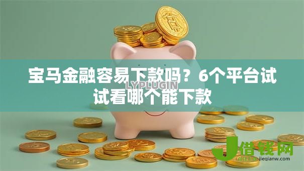 宝马金融容易下款吗?6个平台试试看哪个能下款 宝马金融容易下款吗?6个平台试试看哪个能下款