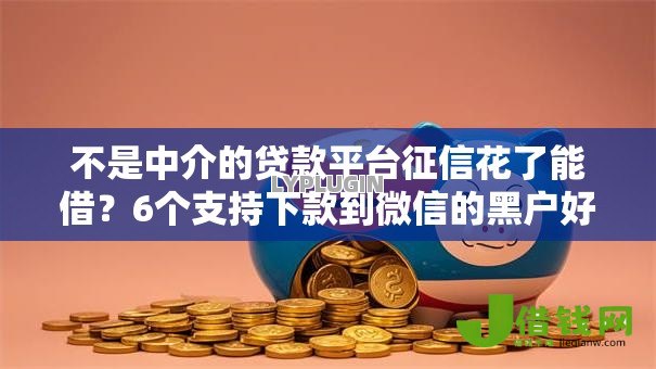不是中介的贷款平台征信花了能借？6个支持下款到微信的黑户好下款的网贷口子