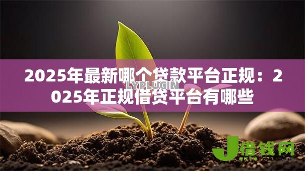 2025年最新哪个贷款平台正规：2025年正规借贷平台有哪些