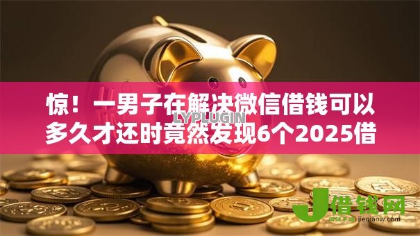 惊！一男子在解决微信借钱可以多久才还时竟然发现6个2025借钱口子必下款，事后分享了出来