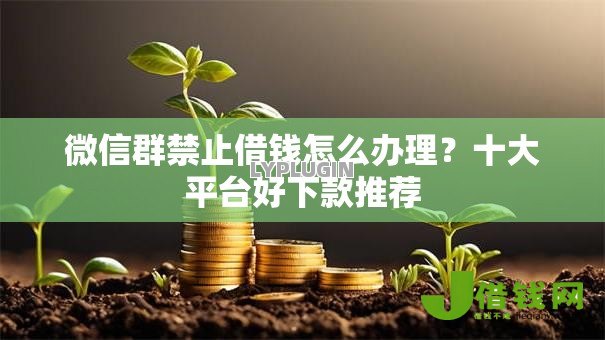 微信群禁止借钱怎么办理？十大平台好下款推荐