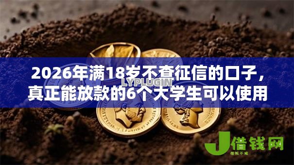 2026年满18岁不查征信的口子,真正能放款的6个大学生可以使用的软件推荐 2026年满18岁不查征信的口子,真正能放款的6个大学生可以使用的软件推荐