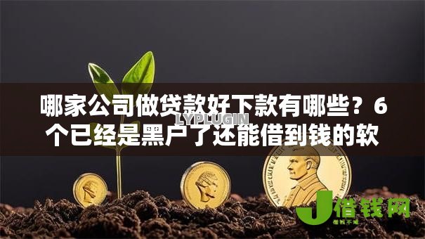 哪家公司做贷款好下款有哪些?6个已经是黑户了还能借到钱的软件推荐给你 哪家公司做贷款好下款有哪些?6个已经是黑户了还能借到钱的软件推荐给你