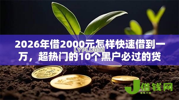 2026年借2000元怎样快速借到一万,超热门的10个黑户必过的贷款平台推荐 2026年借2000元怎样快速借到一万,超热门的10个黑户必过的贷款平台推荐