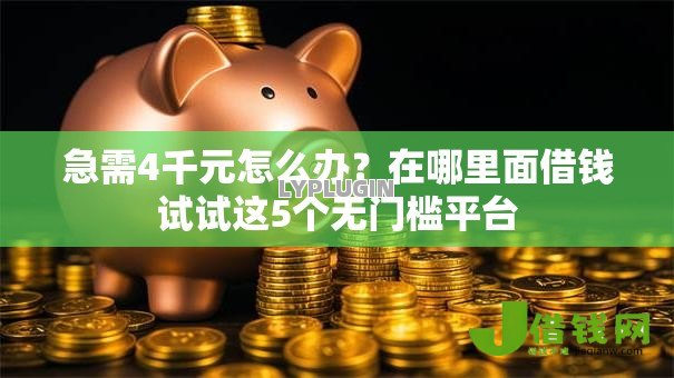 急需4千元怎么办？在哪里面借钱试试这5个无门槛平台