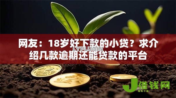 网友:18岁好下款的小贷?求介绍几款逾期还能贷款的平台 网友:18岁好下款的小贷?求介绍几款逾期还能贷款的平台