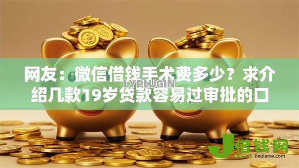 网友：微信借钱手术费多少？求介绍几款19岁贷款容易过审批的口子