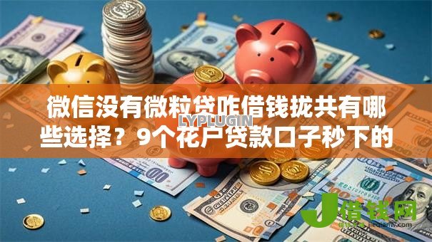 微信没有微粒贷咋借钱拢共有哪些选择？9个花户贷款口子秒下的详解