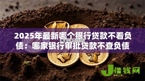 2025年最新哪个银行贷款不看负债:哪家银行审批贷款不查负债 2025年最新哪个银行贷款不看负债:哪家银行审批贷款不查负债