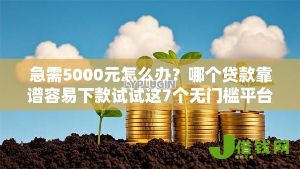 急需5000元怎么办?哪个贷款靠谱容易下款试试这7个无门槛平台 急需5000元怎么办?哪个贷款靠谱容易下款试试这7个无门槛平台