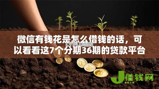 微信有钱花是怎么借钱的话,可以看看这7个分期36期的贷款平台 微信有钱花是怎么借钱的话,可以看看这7个分期36期的贷款平台