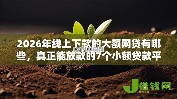 2026年线上下款的大额网贷有哪些，真正能放款的7个小额贷款平台好推荐
