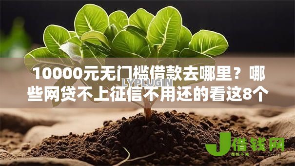 10000元无门槛借款去哪里?哪些网贷不上征信不用还的看这8个平台 10000元无门槛借款去哪里?哪些网贷不上征信不用还的看这8个平台