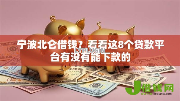 宁波北仑借钱？看看这8个贷款平台有没有能下款的