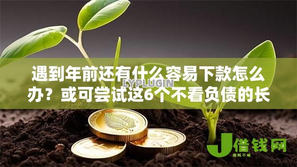 遇到年前还有什么容易下款怎么办？或可尝试这6个不看负债的长期网贷平台