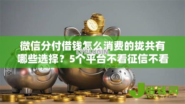 微信分付借钱怎么消费的拢共有哪些选择？5个平台不看征信不看负债可以贷到钱详解