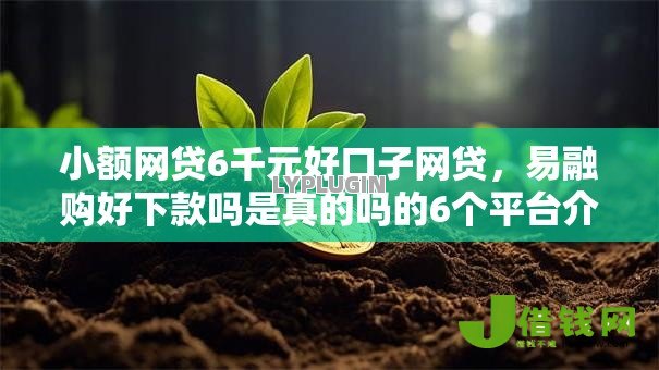 小额网贷6千元好口子网贷，易融购好下款吗是真的吗的6个平台介绍