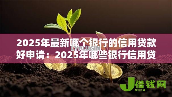 2025年最新哪个银行的信用贷款好申请：2025年哪些银行信用贷审批更宽松