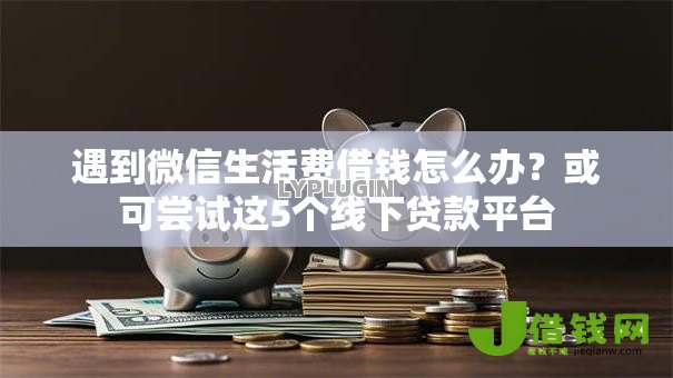 遇到微信生活费借钱怎么办?或可尝试这5个线下贷款平台 遇到微信生活费借钱怎么办?或可尝试这5个线下贷款平台