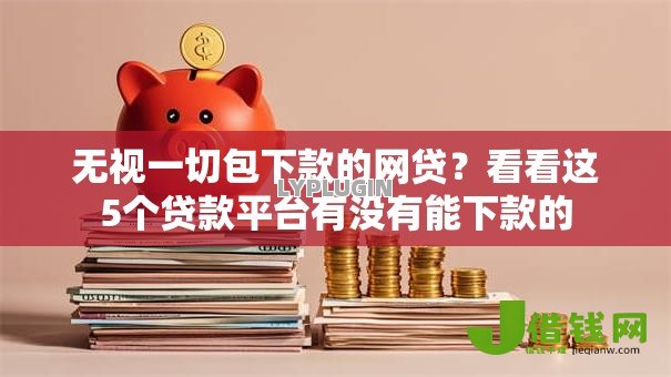 无视一切包下款的网贷？看看这5个贷款平台有没有能下款的