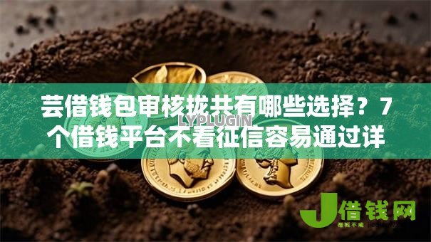 芸借钱包审核拢共有哪些选择?7个借钱平台不看征信容易通过详解 芸借钱包审核拢共有哪些选择?7个借钱平台不看征信容易通过详解