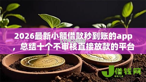 2026最新小额借款秒到账的app,总结十个不审核直接放款的平台! 2026最新小额借款秒到账的app,总结十个不审核直接放款的平台!