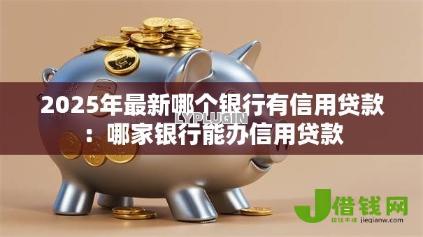 2025年最新哪个银行有信用贷款：哪家银行能办信用贷款