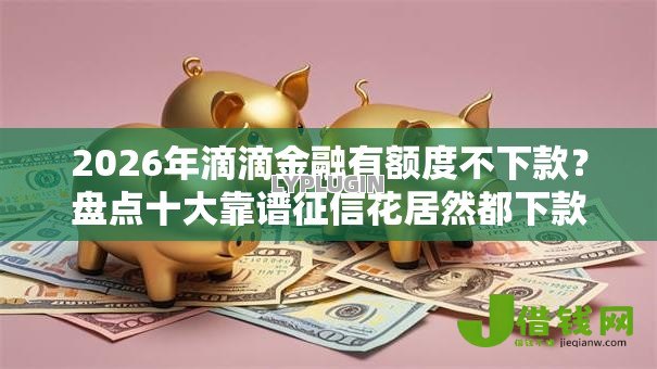 2026年滴滴金融有额度不下款?盘点十大靠谱征信花居然都下款的口子 2026年滴滴金融有额度不下款?盘点十大靠谱征信花居然都下款的口子