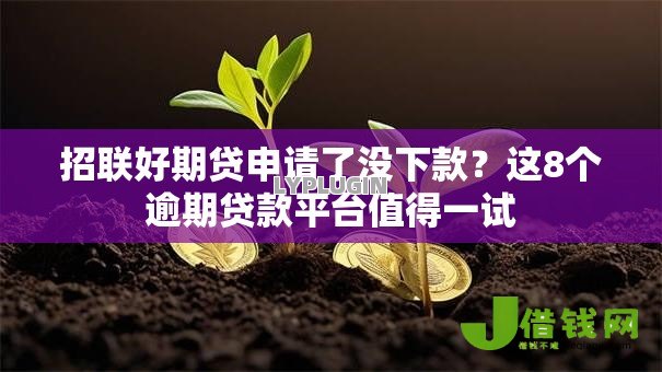 招联好期贷申请了没下款？这8个逾期贷款平台值得一试