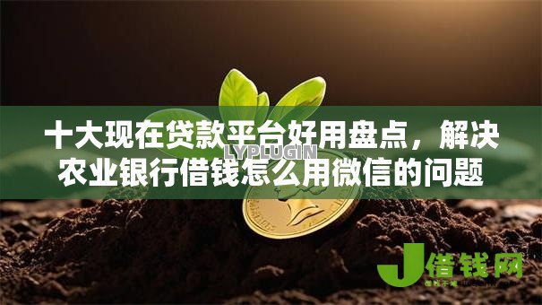 十大现在贷款平台好用盘点,解决农业银行借钱怎么用微信的问题 十大现在贷款平台好用盘点,解决农业银行借钱怎么用微信的问题