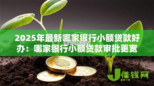 2025年最新哪家银行小额贷款好办：哪家银行小额贷款审批更宽松
