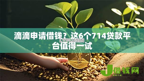 滴滴申请借钱?这6个714贷款平台值得一试 滴滴申请借钱?这6个714贷款平台值得一试