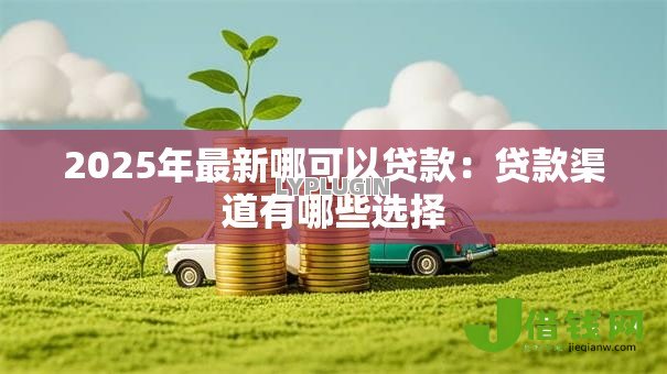 2025年最新哪可以贷款:贷款渠道有哪些选择 2025年最新哪可以贷款:贷款渠道有哪些选择