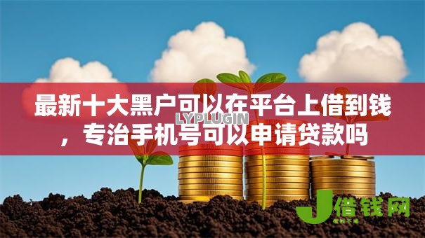 最新十大黑户可以在平台上借到钱，专治手机号可以申请贷款吗