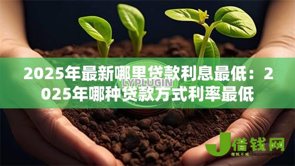 2025年最新哪里贷款利息最低：2025年哪种贷款方式利率最低