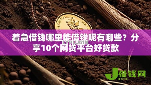 着急借钱哪里能借钱呢有哪些?分享10个网贷平台好贷款 着急借钱哪里能借钱呢有哪些?分享10个网贷平台好贷款