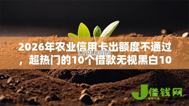 2026年农业信用卡出额度不通过,超热门的10个借款无视黑白100%秒过推荐 2026年农业信用卡出额度不通过,超热门的10个借款无视黑白100%秒过推荐