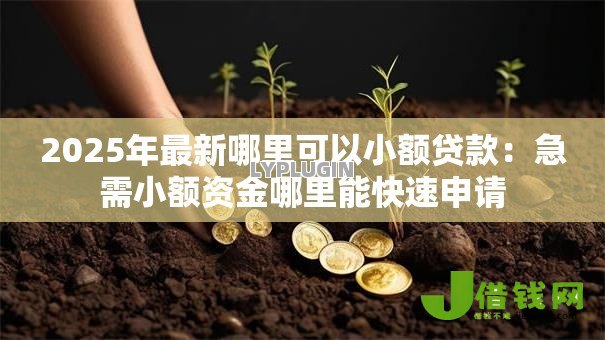 2025年最新哪里可以小额贷款:急需小额资金哪里能快速申请 2025年最新哪里可以小额贷款:急需小额资金哪里能快速申请