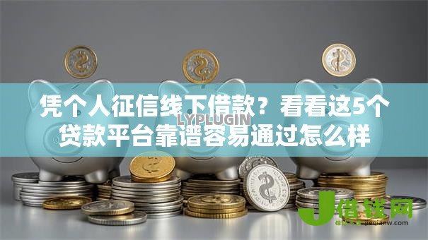 凭个人征信线下借款？看看这5个贷款平台靠谱容易通过怎么样