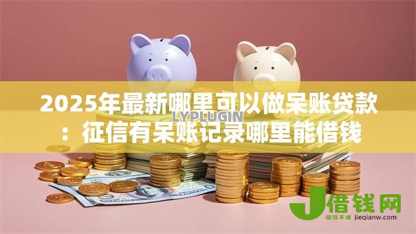 2025年最新哪里可以做呆账贷款：征信有呆账记录哪里能借钱