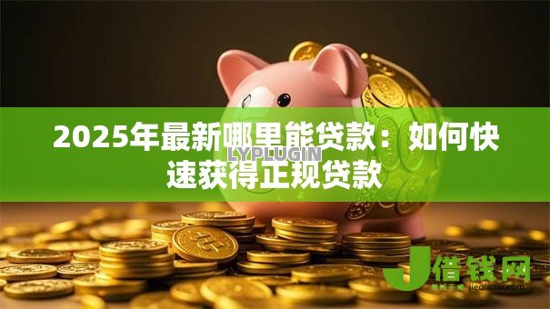 2025年最新哪里能贷款：如何快速获得正规贷款