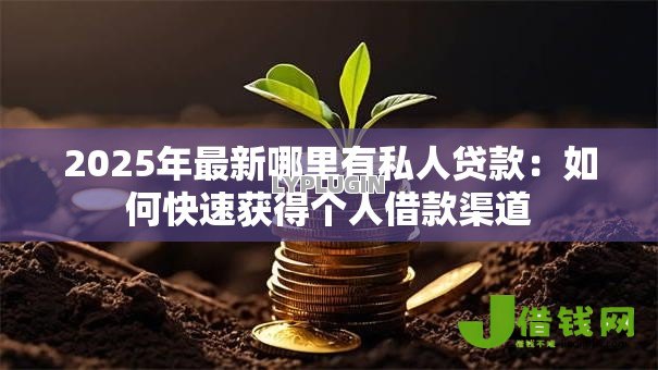 2025年最新哪里有私人贷款:如何快速获得个人借款渠道 2025年最新哪里有私人贷款:如何快速获得个人借款渠道